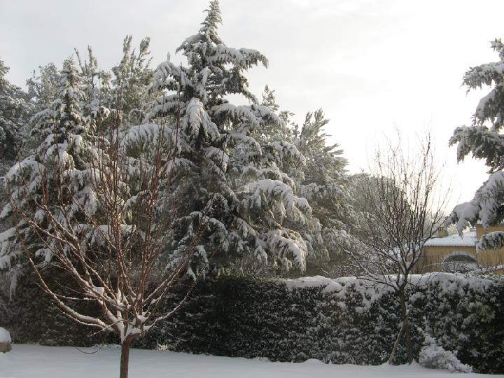 2009-01 005.JPG